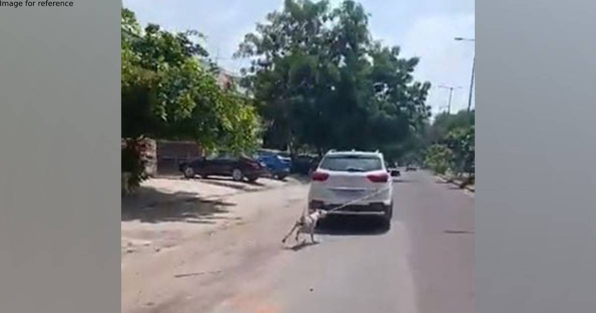 Video shows dog tied to car being dragged on road in Jodhpur, case registered